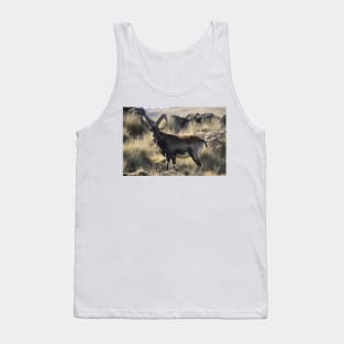 Mountain goat-goat on mountain Tank Top